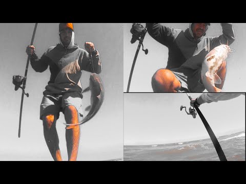 PESCA en la Costa Atlántica (Monte Hermoso)