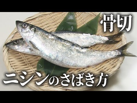 ニシンの刺身のさばき方と骨切り