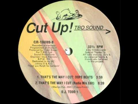 That's The Way I Cut - DJ Todd 1