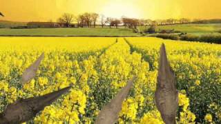 TRULY JULIE'S BLUES by Bob Lind