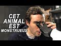 CET ANIMAL EST MONSTRUEUX !