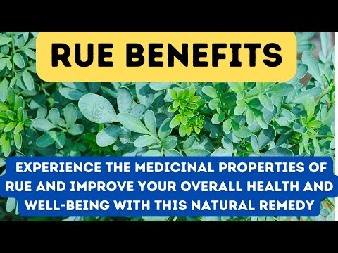 RUE BENEFITS - Reduce Stress and Anxiety with Rue's Calming Effects