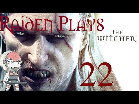 Raiden Plays The Witcher Enhanced Edition Part 22 - The Tower Sentry