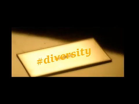 #diversity
