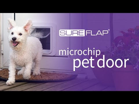 Introducing the SureFlap Microchip Pet Door