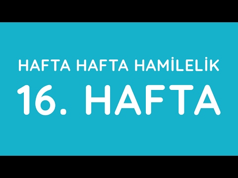 Week 16 - Pregnancy Week by Week - Pregnancy | Anneysen.com