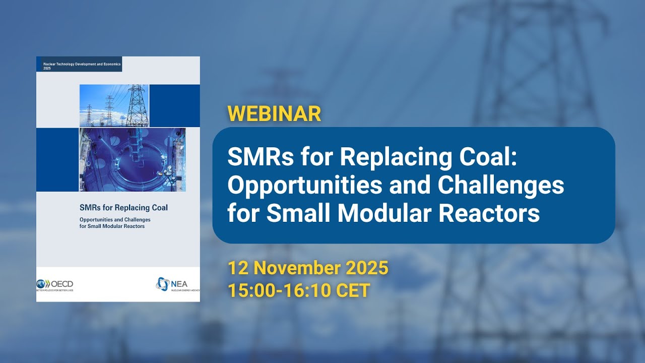 SMRs for Replacing Coal: Opportunities and Challenges for Small Modular Reactors