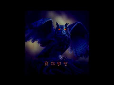 0statni - Sowy(prod.0statni)