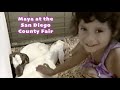 Maya At The San Diego County Fair Animals And Pony Ride
