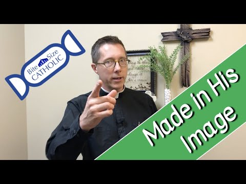 Bite Size Catholic: Made in His Image