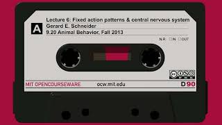 Lec6: Fixed action patterns and central nervous system