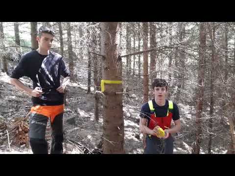 Nico und Florian markieren Z-Bäume (Zukunftsbäume)