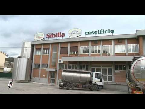 Sibilla TreValli di Amandola, unica realtà produttiva in grado di garantire occupazione