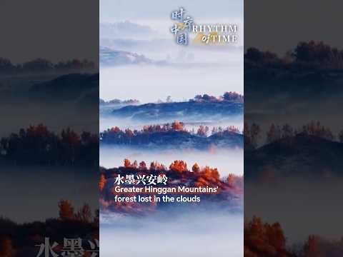 Forest in China's Greater Hinggan engulfed in clouds