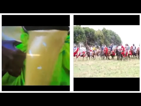 የክስታኔ ጉራጌ ሰርግ እንደዚህ ነው ኑ ከእኛ  ዘና በሉ .አዳብና በክስታኔ ጉራጌ