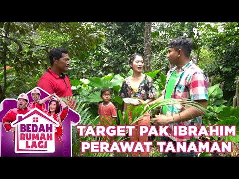 Target Pak Ibrahim Perawat Tanaman Hias - Bedah Rumah Lagi