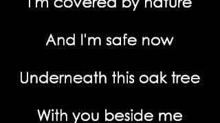 Ed Sheeran Little Bird Lyrics