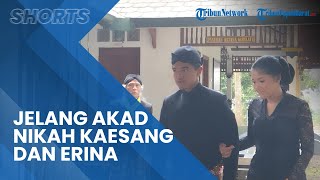 Suasana Akad Nikah Kaesang di Pendopo Royal Ambarrukmo, Erina Tampil dengan Riasan Paes Ageng Jogja