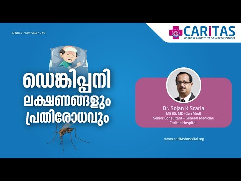 Dengue symptoms and prevention