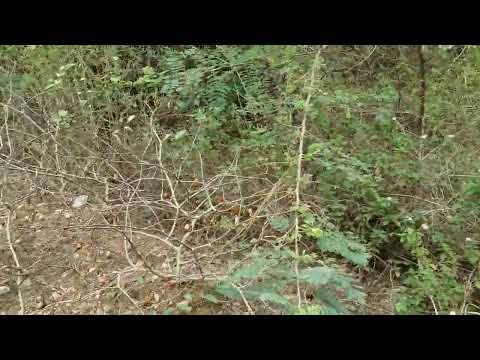 icyibanza kiza kigurishwa hano nyarugenge mageragere gifite600sqm kuri17M hafi na kaburimb0781810992