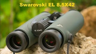 Swarovski EL Serie 8.5x42 Review und Tipps