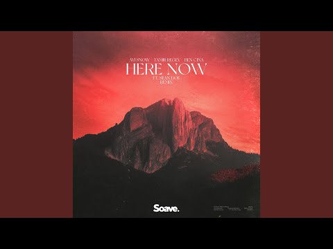 Here Now (feat. Sean Doe) - Remix
