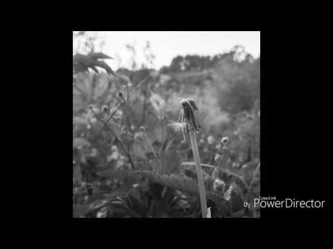 download lagu mp3 mp4 Sera Verdad Que No Aguantas Mis Maanas, download lagu Sera Verdad Que No Aguantas Mis Maanas gratis, unduh video klip Sera Verdad Que No Aguantas Mis Maanas