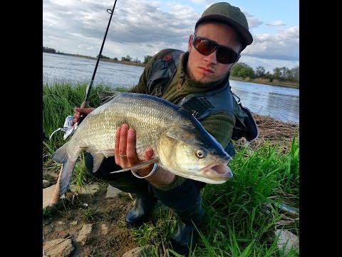 BoleńTV: Bolenie z Odry zachodniej