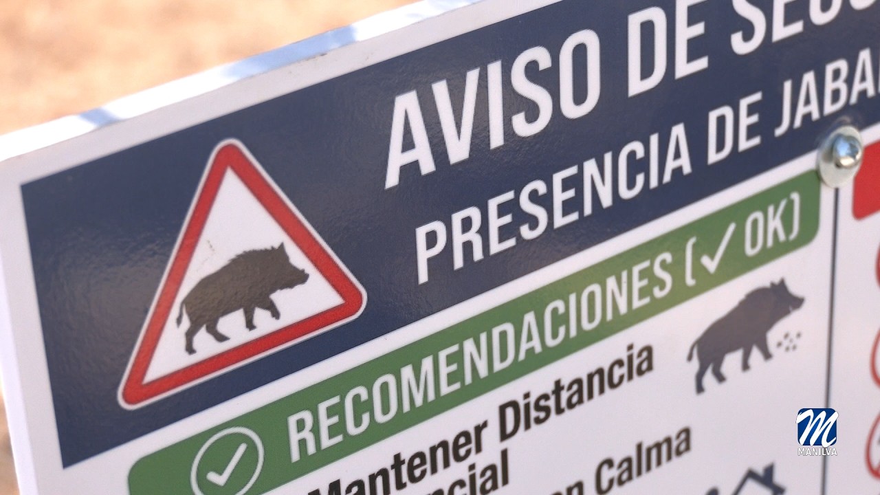 Manilva refuerza las mediadas para el control de jabalíes
