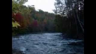 Dori Caymmi -- Na ribeira deste rio -