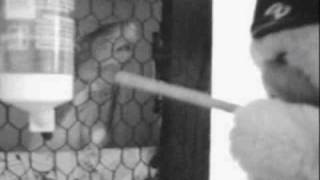 Apokalyptische Reiter - Friede sei mit dir