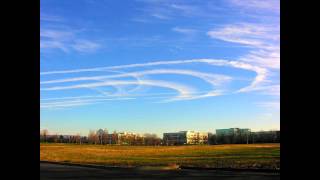 Grizzly Bear - Granny Diner