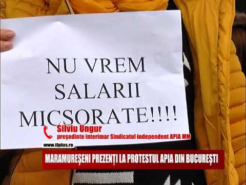 MARAMUREȘENI PREZENȚI LA PROTESTUL APIA DIN BUCUREȘTI
