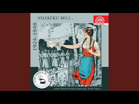 Dobrý voják Švejk - Švejk v civilu