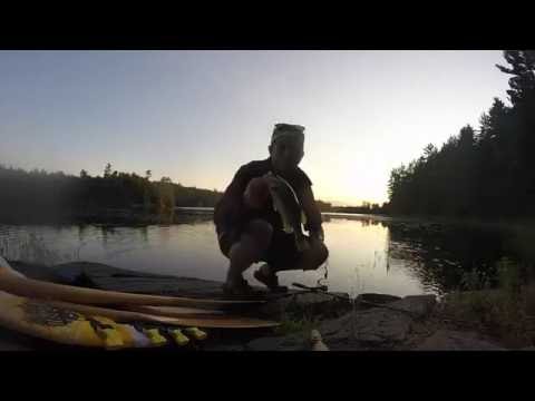 Killarney Provincial Park - Northern Scavenger
