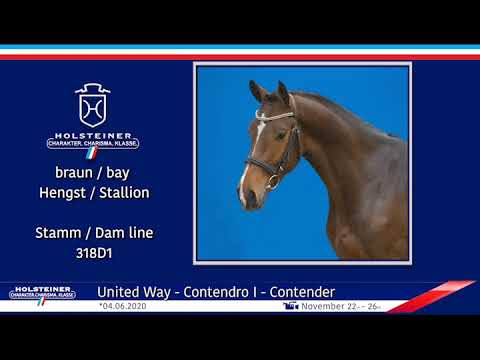 Holsteiner Körlot 2023 | Nr. 59  Universe