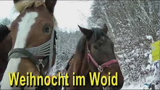 preview picture of video 'Pabneukirchen d'Weihnocht im Woid - 4.12.2010'