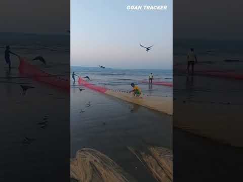Fishing At Goan Beach