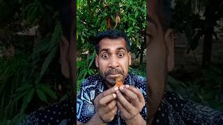 😲🍮🥭😝🤤 Small, Big, Giant Gummy Bear!? 😁 