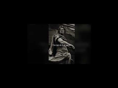 Alter Ego X LTZOO X Edis Li -  Honey prod  MTW