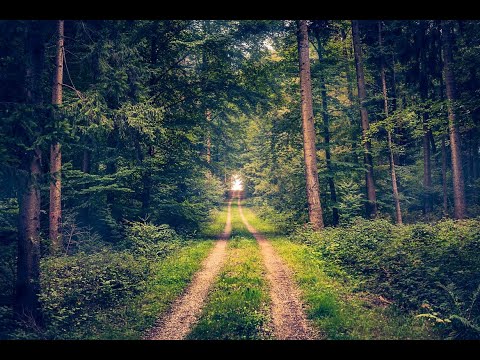 Pforzheim History (Germany)