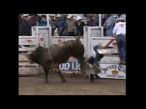 Mr. Greed bucks Adam Carrillo - 94 PBR Del Rio