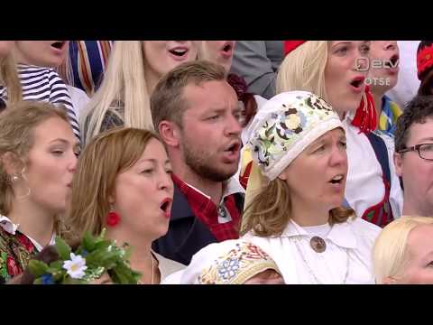 Koit / Laulupidu 2019