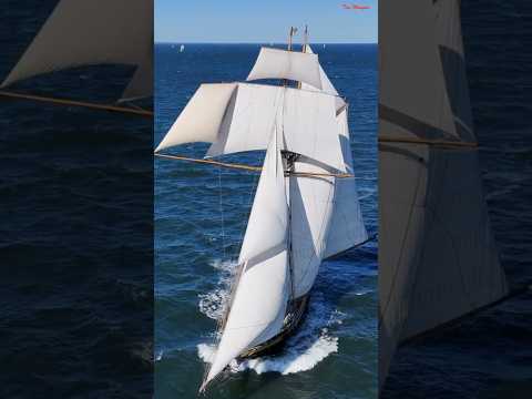 Pride of Baltimore II in the Great Chesapeake Bay Schooner Race 10/16/2025