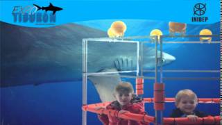 DIA 2 Expo Tiburon270