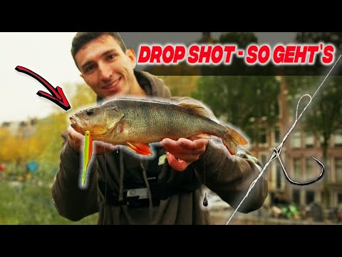 DROP SHOT ganz EINFACH! So fängst DU zu 100 % Barsch, Zander & Hecht