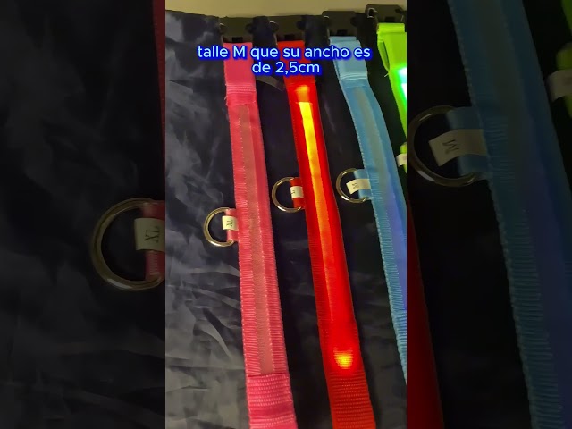Vídeo relacionado con PARENCE - Collar LED Ajustable para Perros 36-59 cm - 3 Modos de luz, Seguridad Nocturna, Collar de luz para Perros y Gatos, Visible Desde 500 m, Impermeable, con Pilas CR2016 - Azul