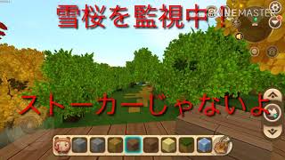 雪桜と仲良くなろう3