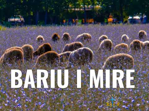 Bariu i Mire