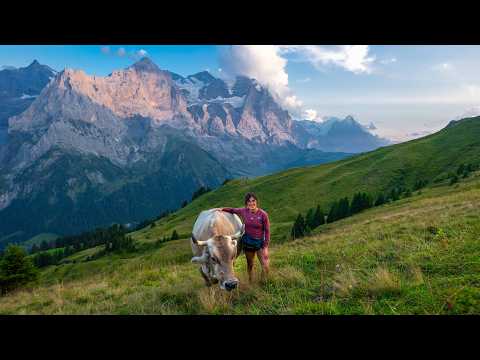 Alpzeit - life on the Alp Grindel in Switzerland Episode 2